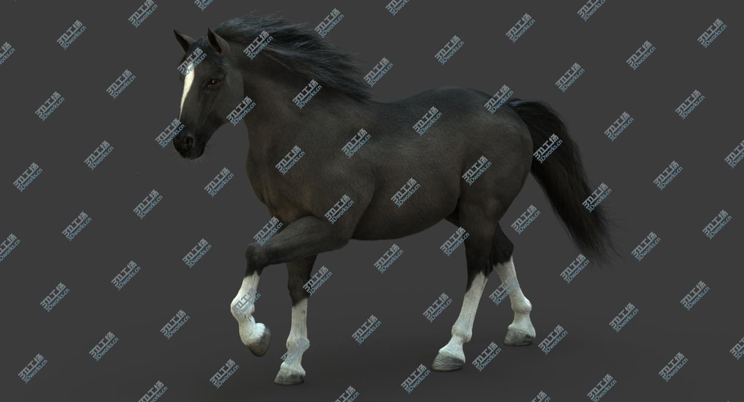 images/goods_img/20210319/3D Horse (2) (Black) (ANIMATED) (FUR)/3.jpg